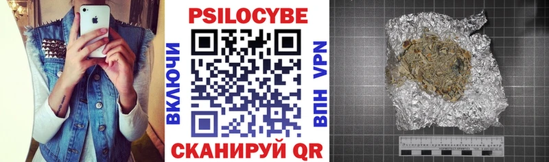 закладки  Мыски  Псилоцибиновые грибы мицелий 