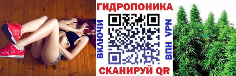 Марихуана SATIVA & INDICA  купить наркотики сайты  Мыски 
